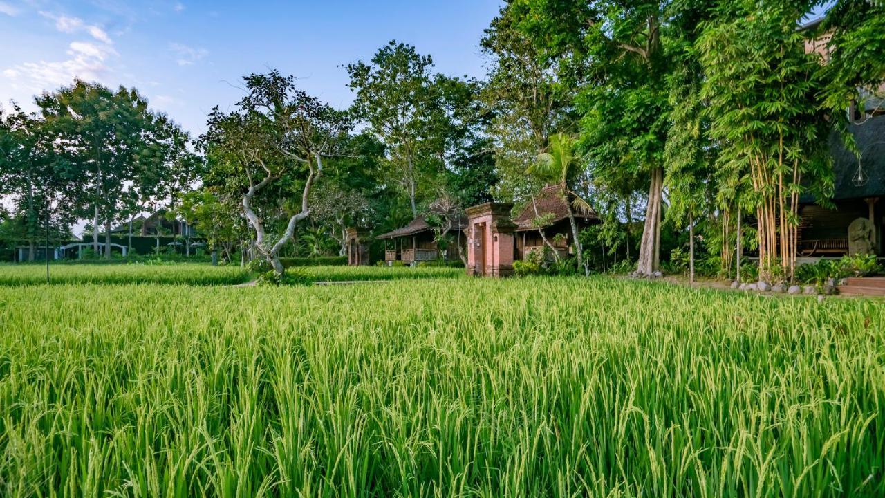 Kajane Yangloni At Ubud Exterior foto